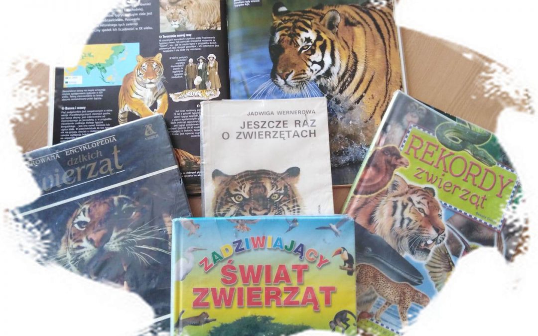 29 lipca przypada Światowy Dzień Tygrysa