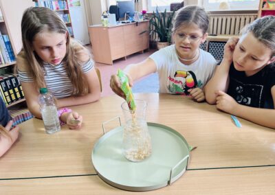 Laboratorium Czytelnika